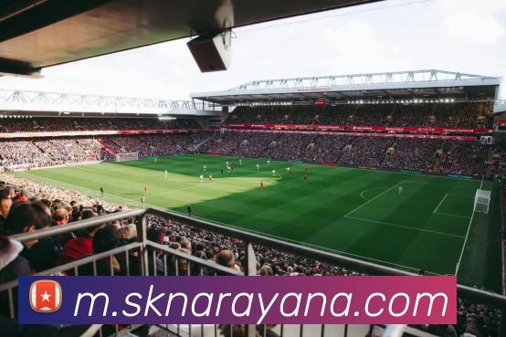 奖项证书